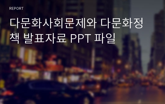 다문화사회문제와 다문화정책 발표자료 PPT 파일