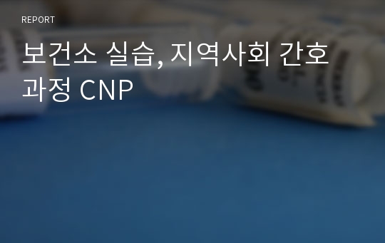 보건소 실습, 지역사회 간호과정 CNP