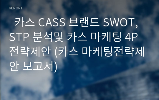   카스 CASS 브랜드 SWOT,STP 분석및 카스 마케팅 4P 전략제안 (카스 마케팅전략제안 보고서)