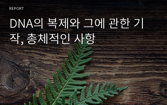 DNA의 복제와 그에 관한 기작, 총체적인 사항