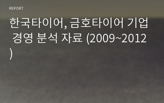 한국타이어, 금호타이어 기업 경영 분석 자료 (2009~2012)