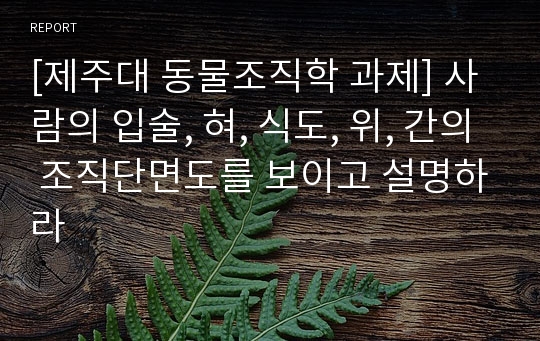 [제주대 동물조직학 과제] 사람의 입술, 혀, 식도, 위, 간의 조직단면도를 보이고 설명하라