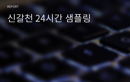 신갈천 24시간 샘플링