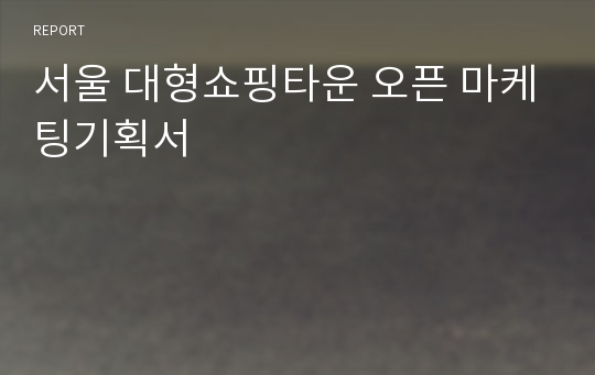 서울 대형쇼핑타운 오픈 마케팅기획서