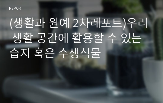 (생활과 원예 2차레포트)우리 생활 공간에 활용할 수 있는 습지 혹은 수생식물