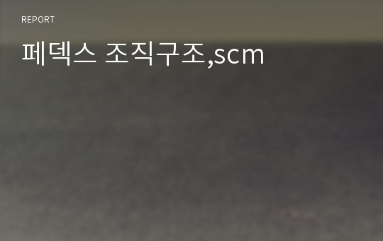 페덱스 조직구조,scm