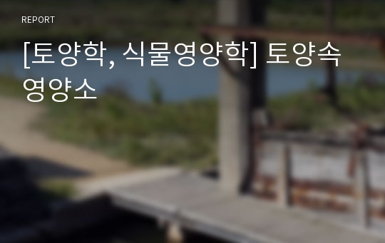 [토양학, 식물영양학] 토양속 영양소