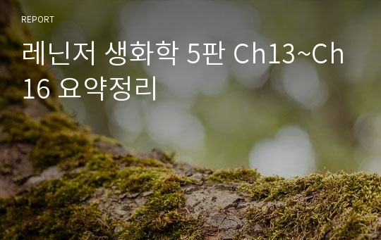 레닌저 생화학 5판 Ch13~Ch16 요약정리