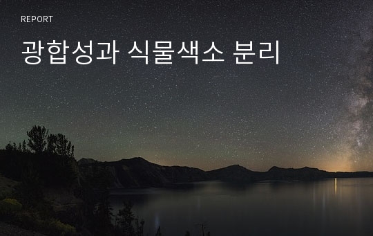 광합성과 식물색소 분리