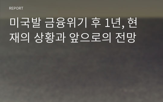 미국발 금융위기 후 1년, 현재의 상황과 앞으로의 전망