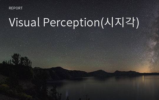 Visual Perception(시지각)