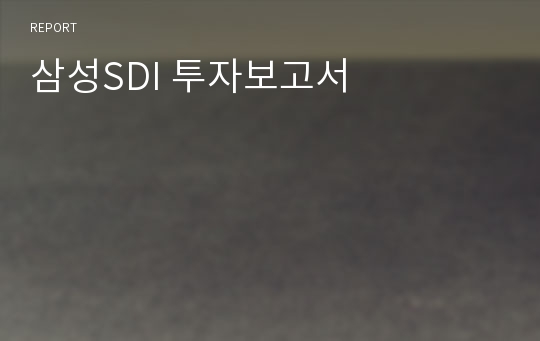 삼성SDI 투자보고서