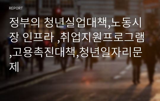 정부의 청년실업대책,노동시장 인프라 ,취업지원프로그램,고용촉진대책,청년일자리문제