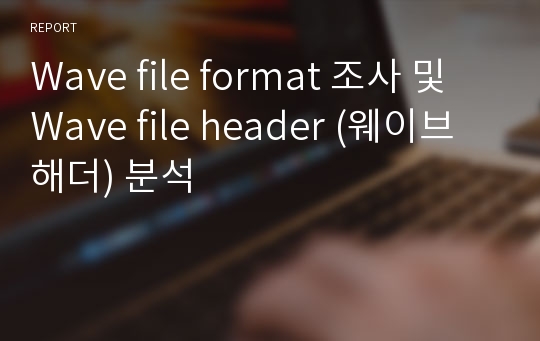 Wave file format 조사 및 Wave file header (웨이브 해더) 분석