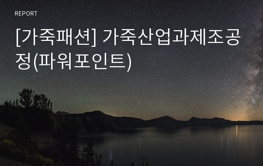 [가죽패션] 가죽산업과제조공정(파워포인트)