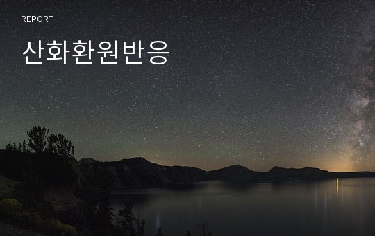 산화환원반응