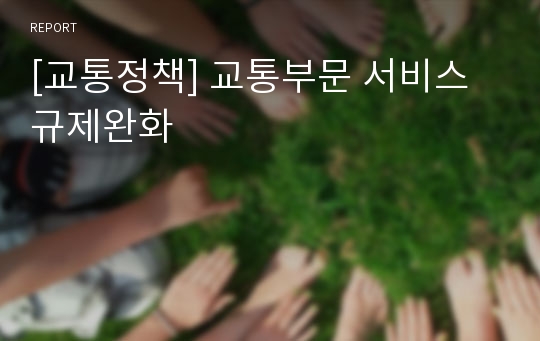 [교통정책] 교통부문 서비스 규제완화