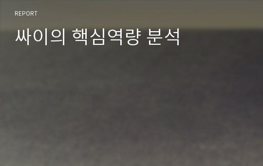 싸이의 핵심역량 분석