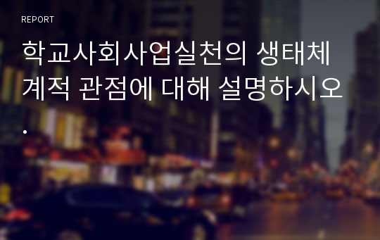 학교사회사업실천의 생태체계적 관점에 대해 설명하시오.