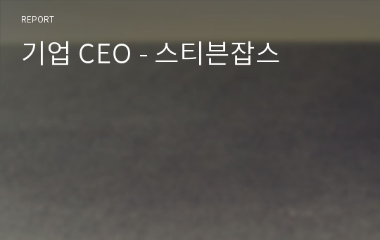기업 CEO - 스티븐잡스