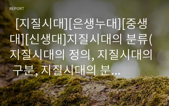   [지질시대][은생누대][중생대][신생대]지질시대의 분류(지질시대의 정의, 지질시대의 구분, 지질시대의 분류기준, 은생누대, 현생누대, 중생대, 신생대(제3기), 신생대(제4기))