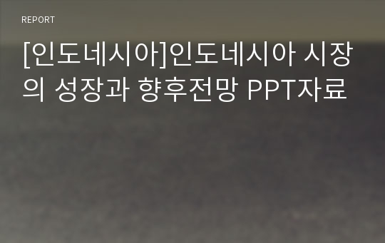 [인도네시아]인도네시아 시장의 성장과 향후전망 PPT자료