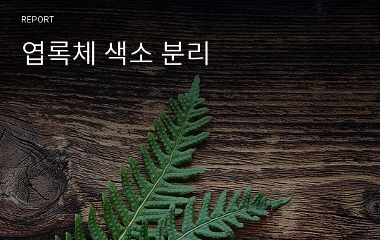 엽록체 색소 분리