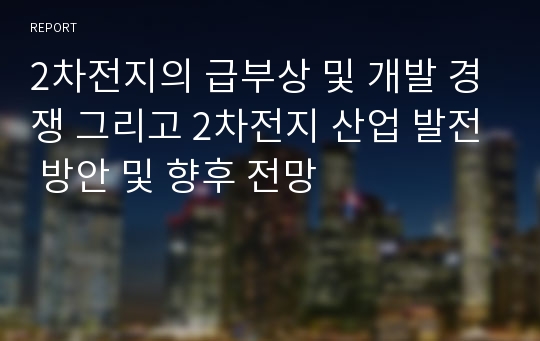 2차전지의 급부상 및 개발 경쟁 그리고 2차전지 산업 발전 방안 및 향후 전망