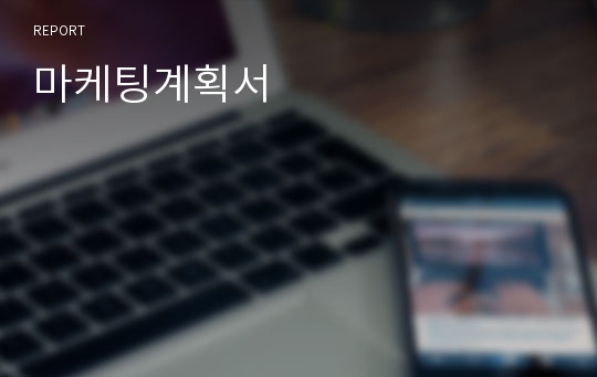 마케팅계획서