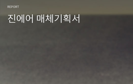 진에어 매체기획서