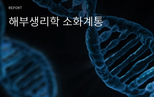 해부생리학 소화계통