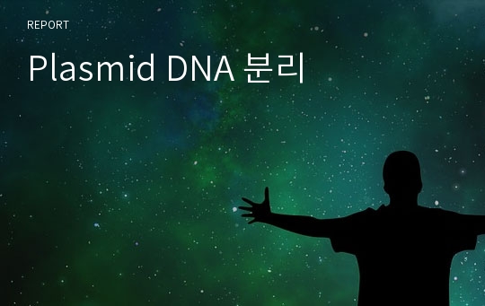 Plasmid DNA 분리