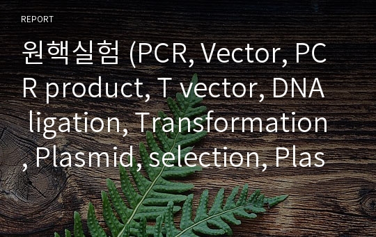 원핵실험 (PCR, Vector, PCR product, T vector, DNA ligation, Transformation, Plasmid, selection, Plasmid DNA 분리, DNA sequencing)