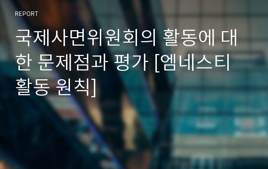 국제사면위원회의 활동에 대한 문제점과 평가 [엠네스티 활동 원칙]