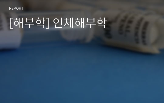 [해부학] 인체해부학