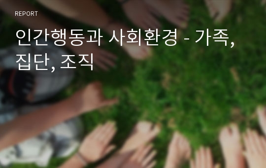 인간행동과 사회환경 - 가족, 집단, 조직