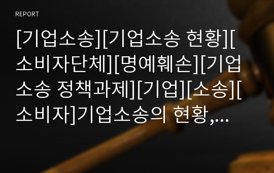 [기업소송][기업소송 현황][소비자단체][명예훼손][기업소송 정책과제][기업][소송][소비자]기업소송의 현황, 기업소송과 소비자단체, 기업소송과 명예훼손, 기업소송의 정책과제