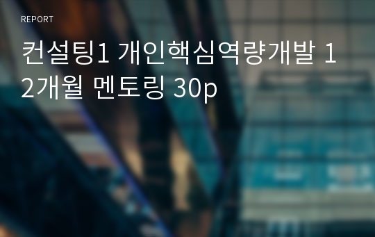 컨설팅1 개인핵심역량개발 12개월 멘토링 30p