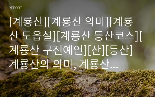 [계룡산][계룡산 의미][계룡산 도읍설][계룡산 등산코스][계룡산 구전예언][산][등산]계룡산의 의미, 계룡산의 도읍설, 계룡산의 등산코스, 계룡산의 구전예언 분석(계룡산, 산)