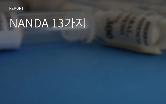 NANDA 13가지