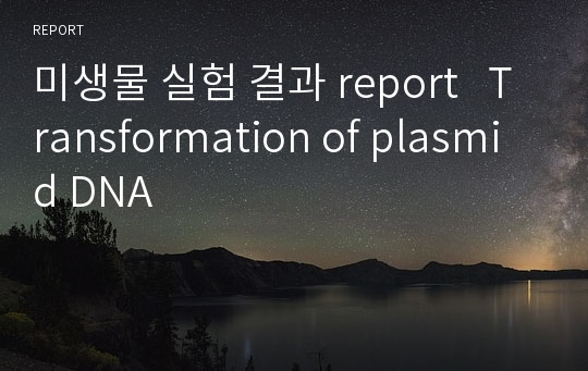 미생물 실험 결과 report   Transformation of plasmid DNA