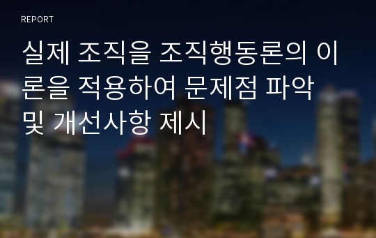 실제 조직을 조직행동론의 이론을 적용하여 문제점 파악 및 개선사항 제시