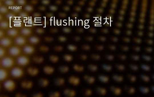 [플랜트] flushing 절차