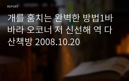 개를 훔치는 완벽한 방법1바바라 오코너 저 신선해 역 다산책방 2008.10.20