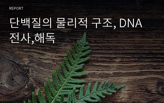 단백질의 물리적 구조, DNA 전사,해독