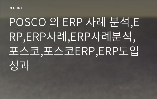 POSCO 의 ERP 사례 분석,ERP,ERP사례,ERP사례분석,포스코,포스코ERP,ERP도입성과