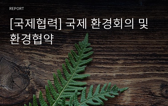 [국제협력] 국제 환경회의 및 환경협약