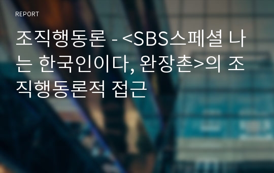 조직행동론 - &lt;SBS스페셜 나는 한국인이다, 완장촌&gt;의 조직행동론적 접근