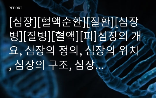 [심장][혈액순환][질환][심장병][질병][혈액][피]심장의 개요, 심장의 정의, 심장의 위치, 심장의 구조, 심장의 기능, 심장의 혈액순환, 심장의 질환, 심장의 장애등급 분석