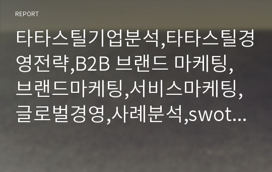 타타스틸기업분석,타타스틸경영전략,B2B 브랜드 마케팅,브랜드마케팅,서비스마케팅,글로벌경영,사례분석,swot,stp,4p